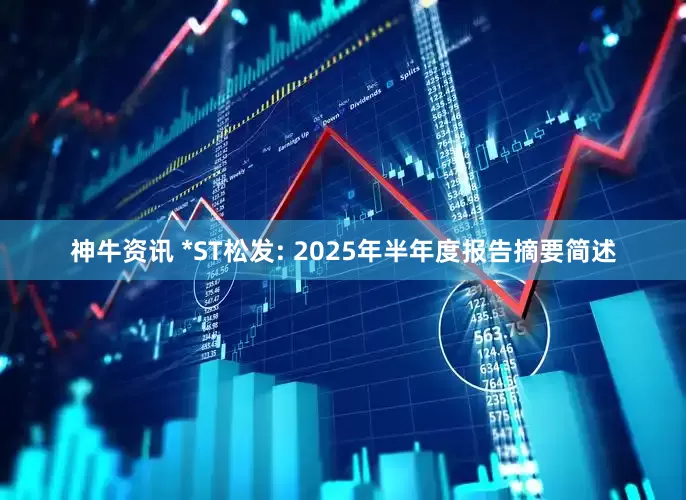 神牛资讯 *ST松发: 2025年半年度报告摘要简述