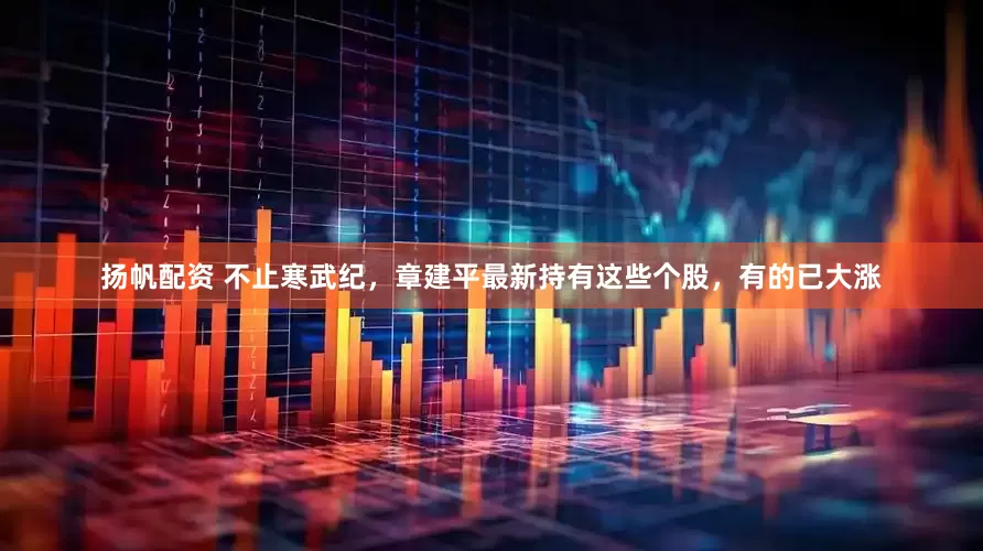 扬帆配资 不止寒武纪，章建平最新持有这些个股，有的已大涨