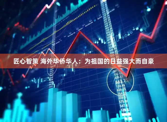 匠心智策 海外华侨华人：为祖国的日益强大而自豪