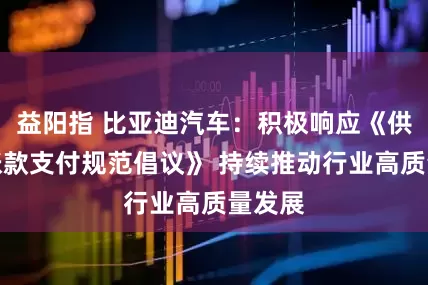 益阳指 比亚迪汽车：积极响应《供应商账款支付规范倡议》 持续推动行业高质量发展