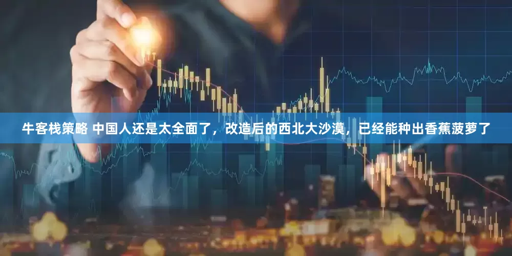 牛客栈策略 中国人还是太全面了，改造后的西北大沙漠，已经能种出香蕉菠萝了